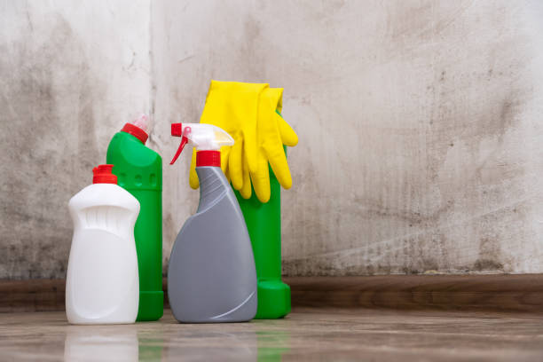 Best Black Mold Removal  in Ruthers, CA